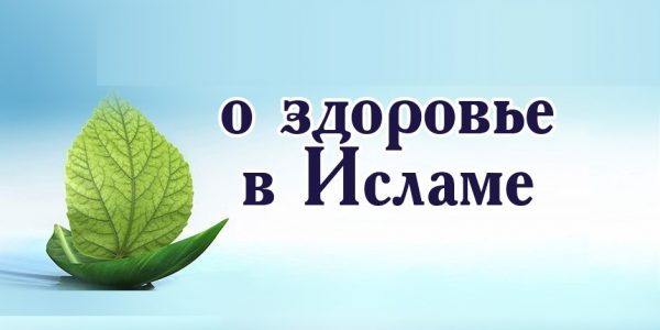895951519